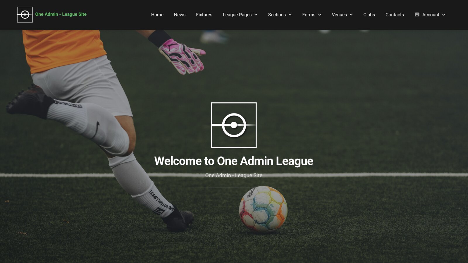 A league's branded public website